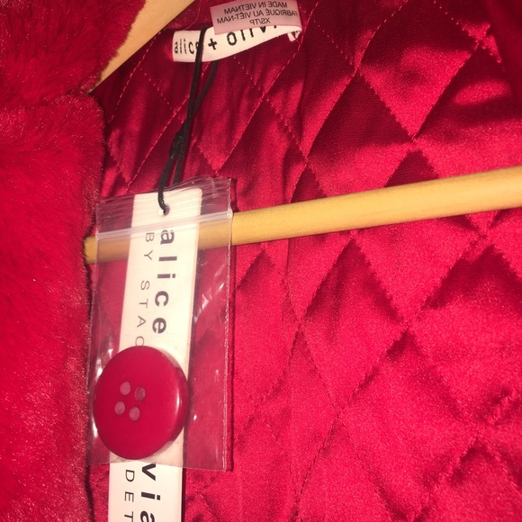 Elegant Winter Coat! Warm and Wonderful! - Picture 3 of 4